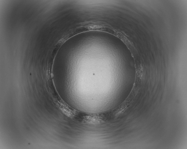 X0000082960763200702152306