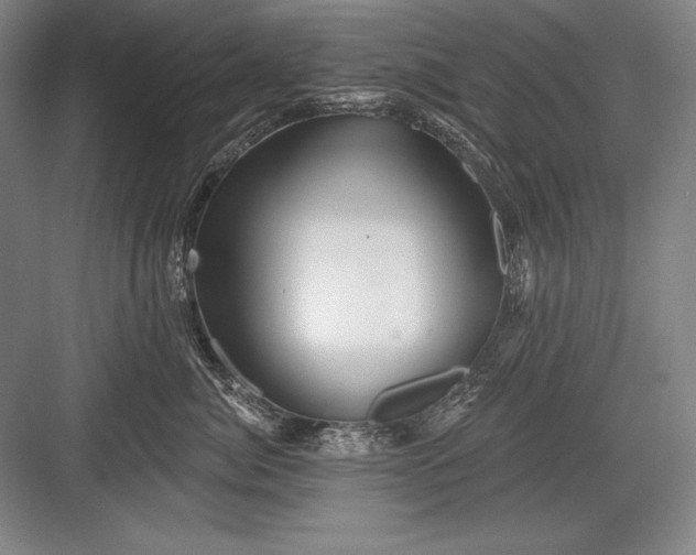 X0000082960764200702152306