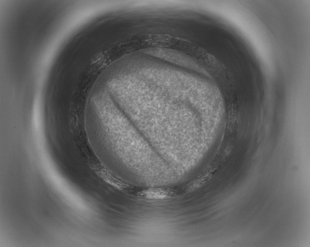 X0000082960765200702152306