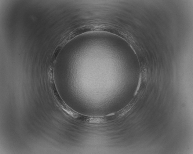 X0000082960766200702152306