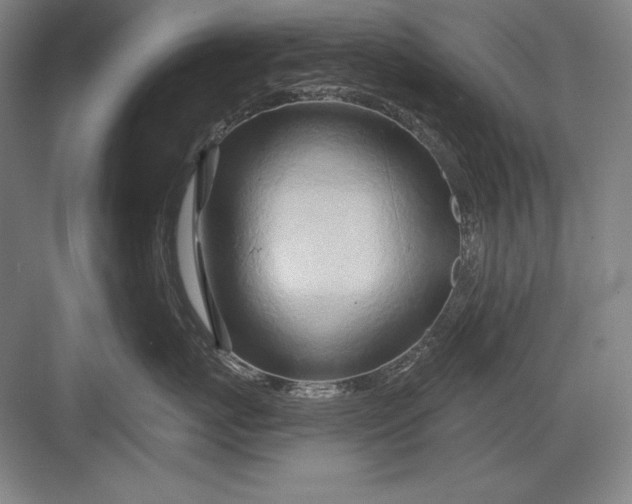 X0000082960767200702152306