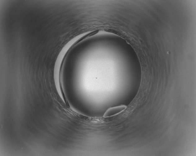 X0000082960768200702152306