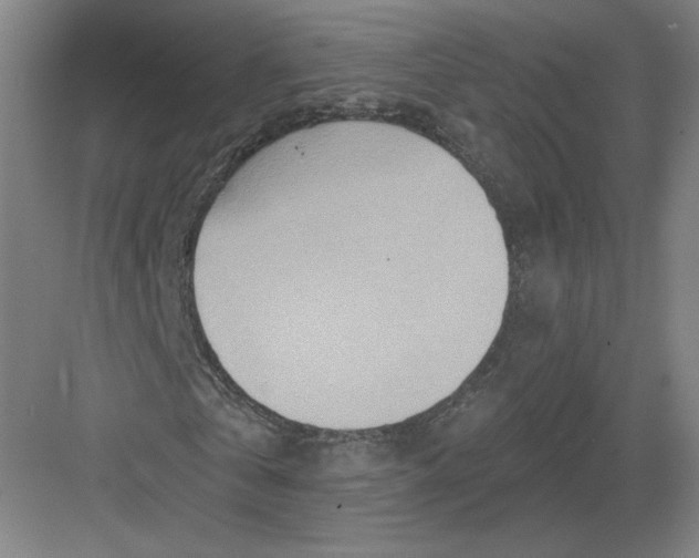 X0000082960769200702152305