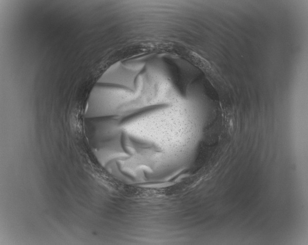 X0000082960770200702152305