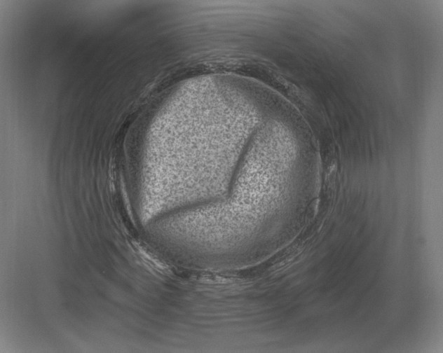 X0000082960772200702152305