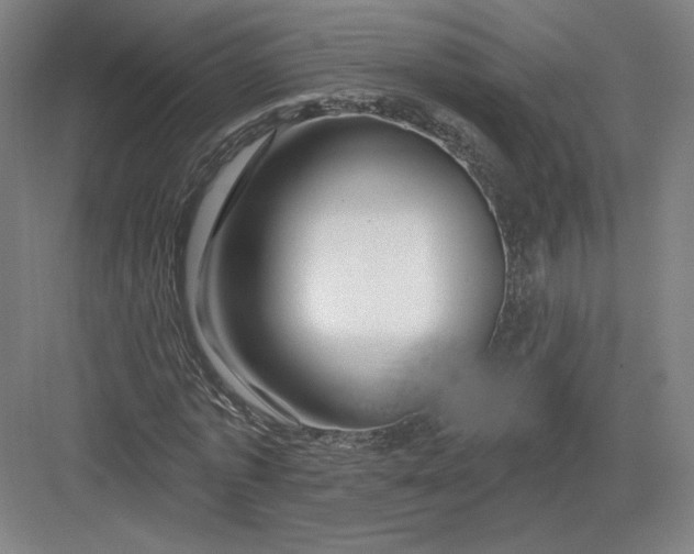 X0000082960773200702152305