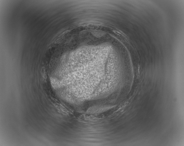 X0000082960774200702152305