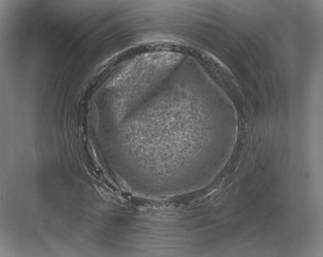 X0000082960775200702152305