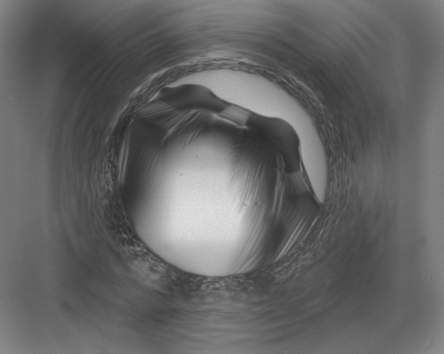 X0000082960776200702152305