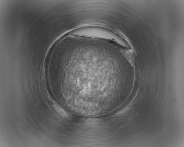 X0000082960779200702152305