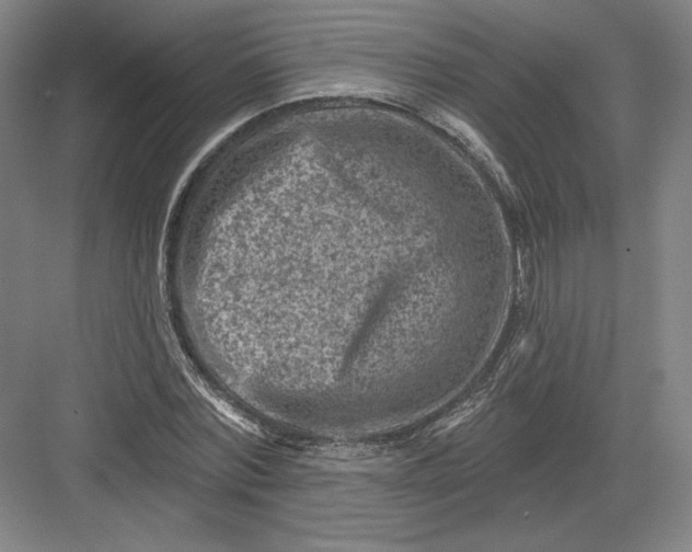 X0000082960780200702152305