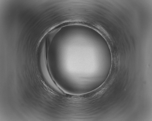 X0000082960781200702152305