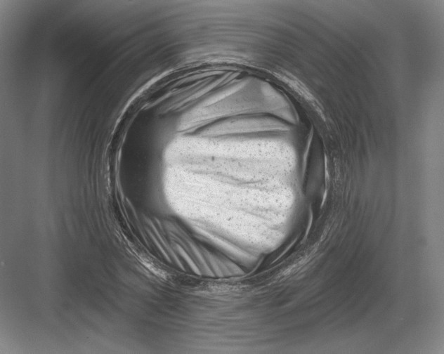 X0000082960782200702152305