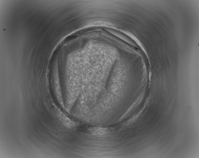 X0000082960783200702152305