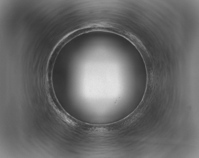 X0000082960784200702152305