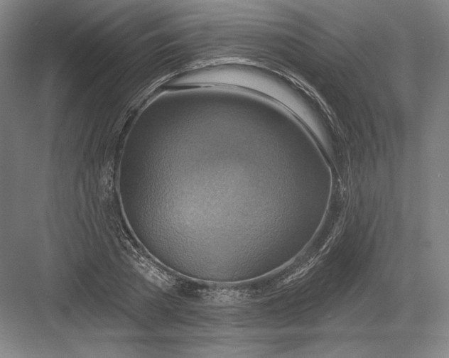 X0000082960785200702152305