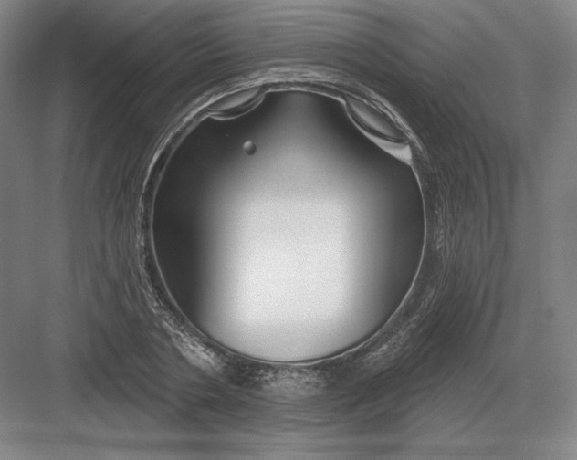 X0000082960786200702152305