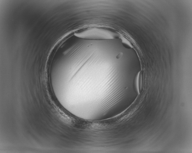 X0000082960787200702152305