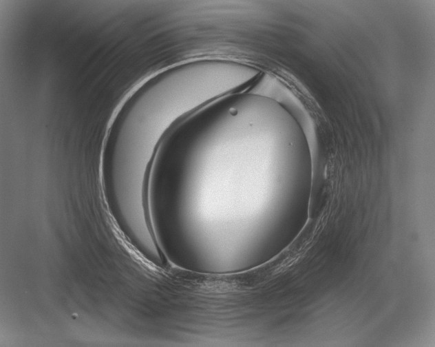 X0000082960788200702152305