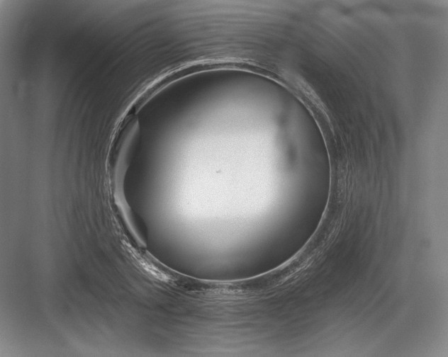 X0000082960789200702152305