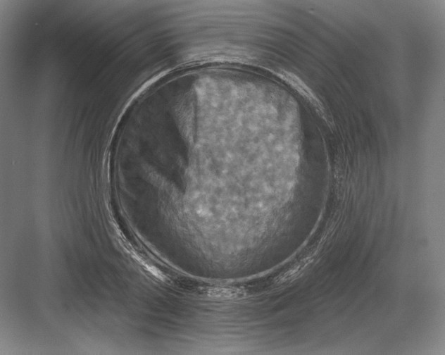 X0000082960790200702152305