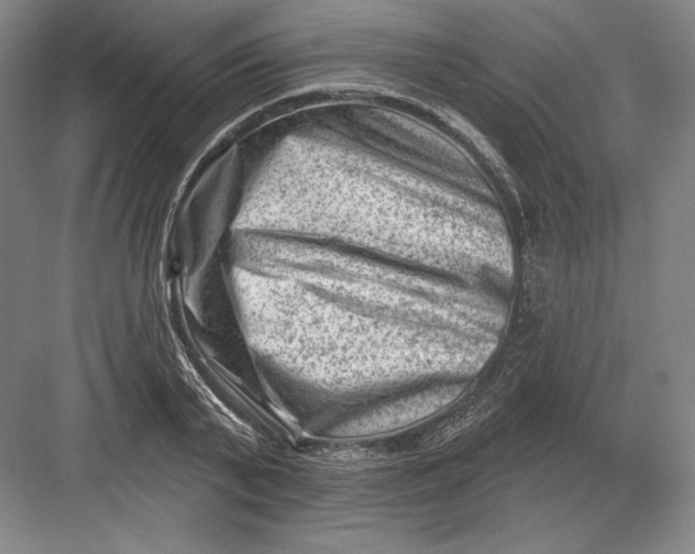 X0000082960791200702152305