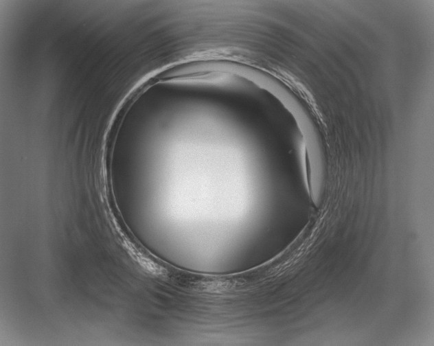 X0000082960792200702152305