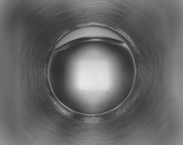 X0000082960793200702152305