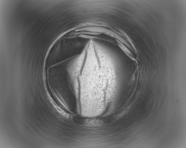 X0000082960795200702152304