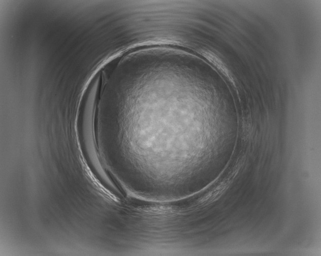 X0000082960797200702152304