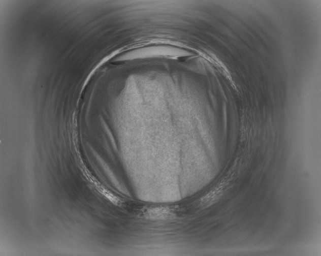 X0000082960798200702152304