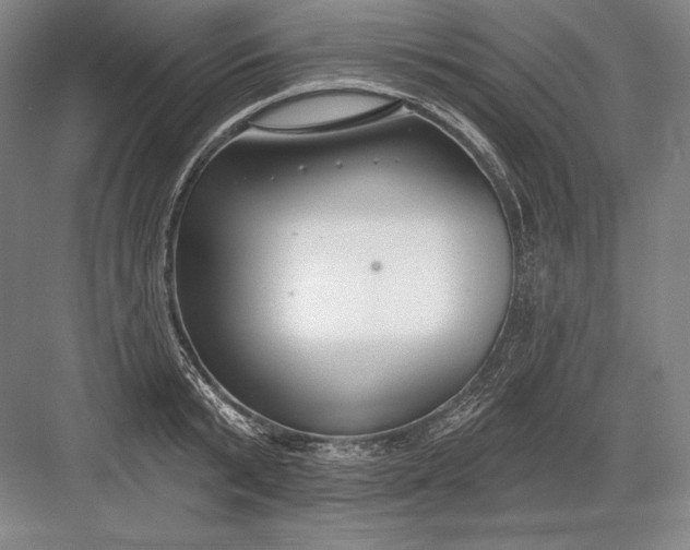 X0000082960799200702152304