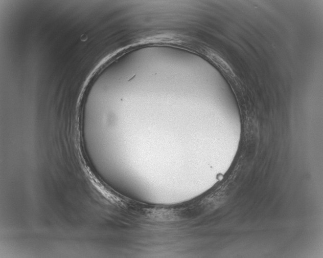 X0000082960800200702152304