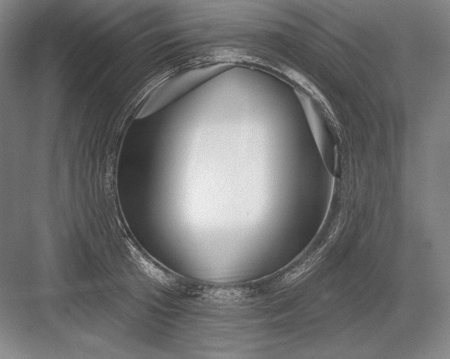 X0000082960801200702152304