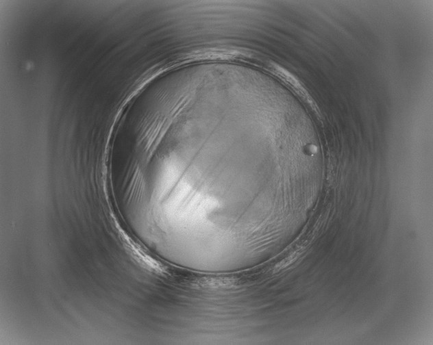 X0000082960802200702152304