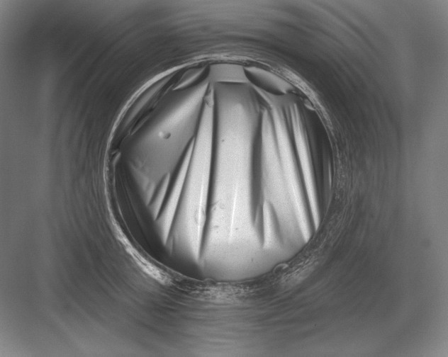 X0000082960803200702152304