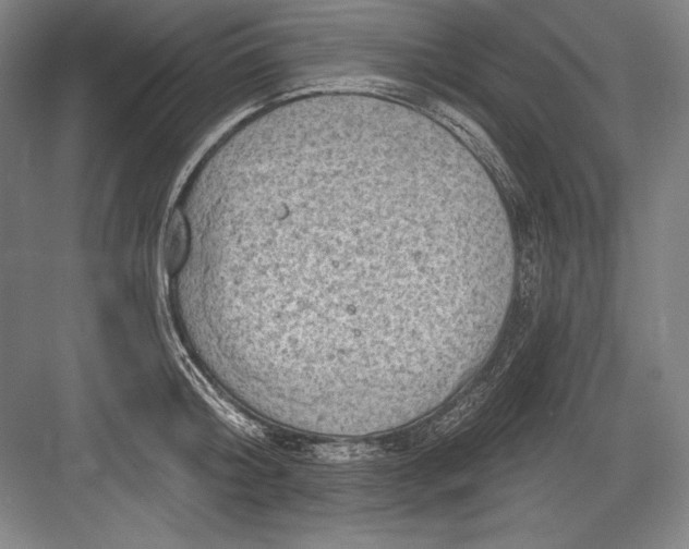 X0000082960804200702152304