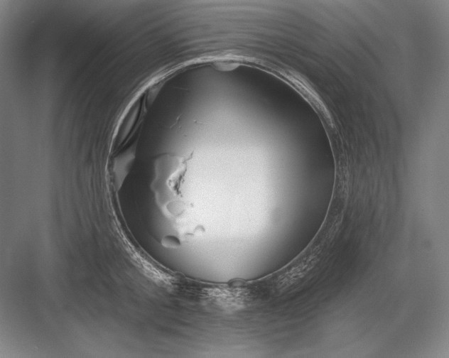 X0000082960805200702152304