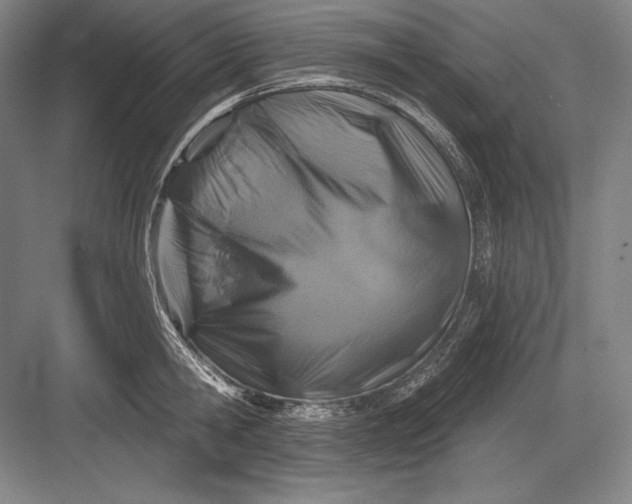 X0000082960806200702152304