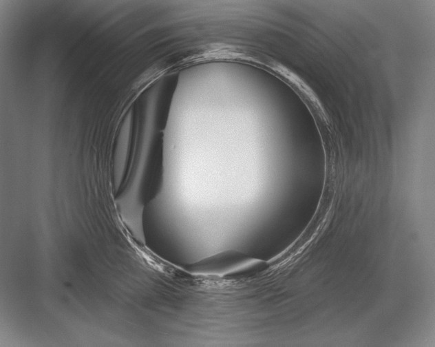 X0000082960809200702152304