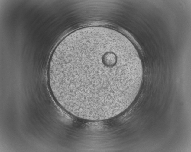 X0000082960810200702152304