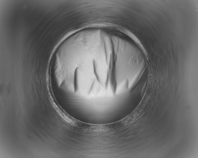 X0000082960811200702152304