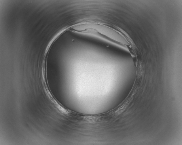 X0000082960812200702152304