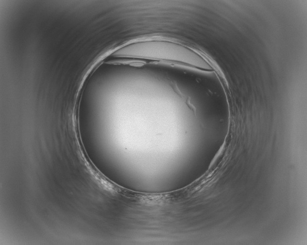 X0000082960813200702152304