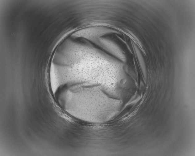 X0000082960814200702152304