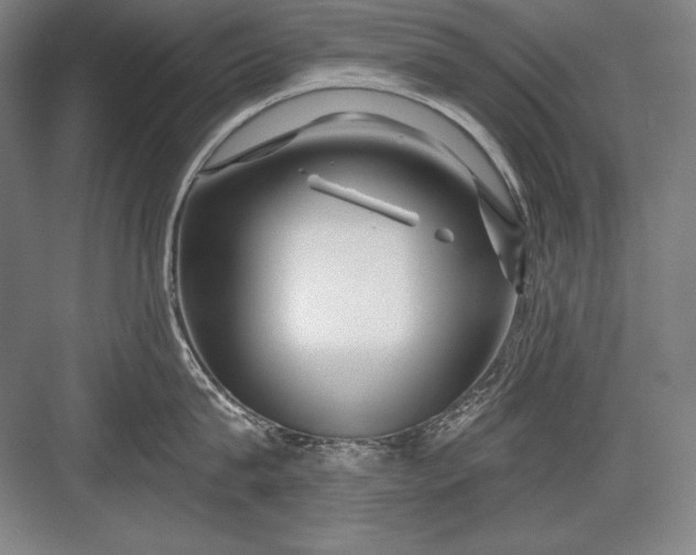 X0000082960815200702152304