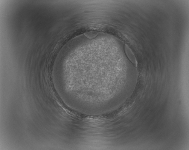 X0000082960817200702152303