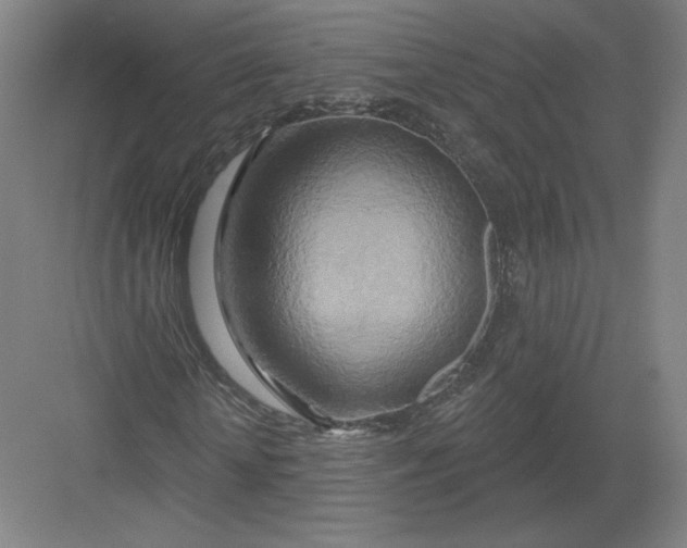 X0000082960818200702152303