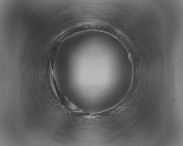 X0000082960822200702152303