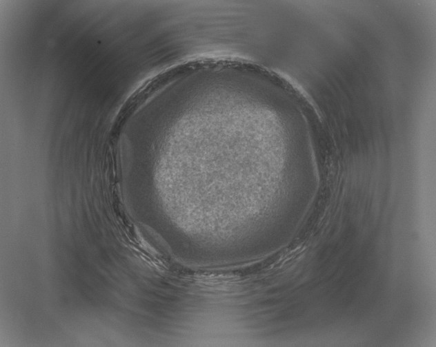 X0000082960823200702152303